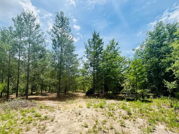 7 NE River Trace Trl, Lee, FL 32059