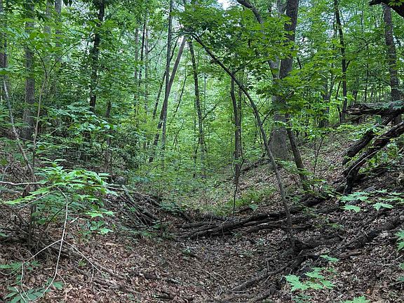 4th image of 0 Daves Valley Rd