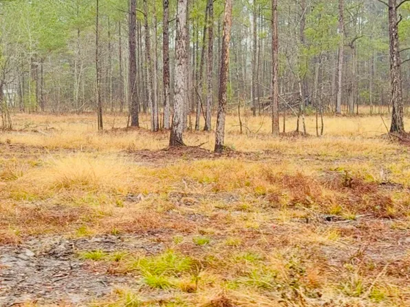 312 Heaven Dr, Saint Stephen, SC 29479
