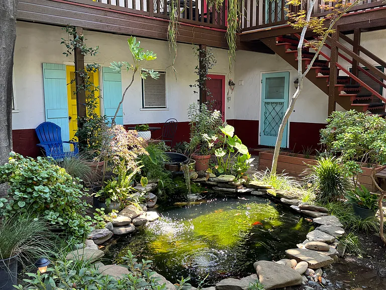 Koi Pond