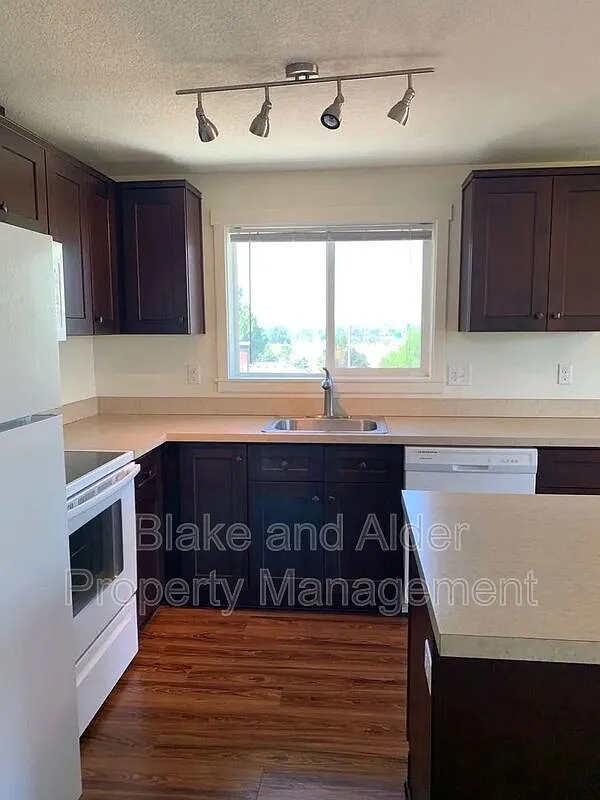 2 bed, 1.0 bath, 655 sqft, $1,595 — Photo 3