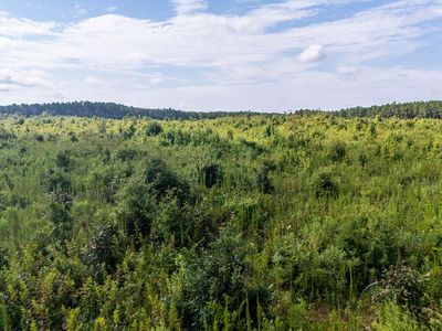 15ac Ouzts Road, Edgefield, SC, 29824