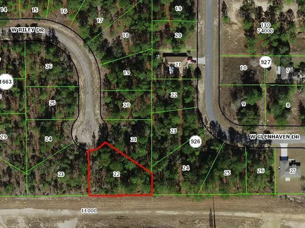 1005 W Riley Drive, Citrus Springs, FL 34434