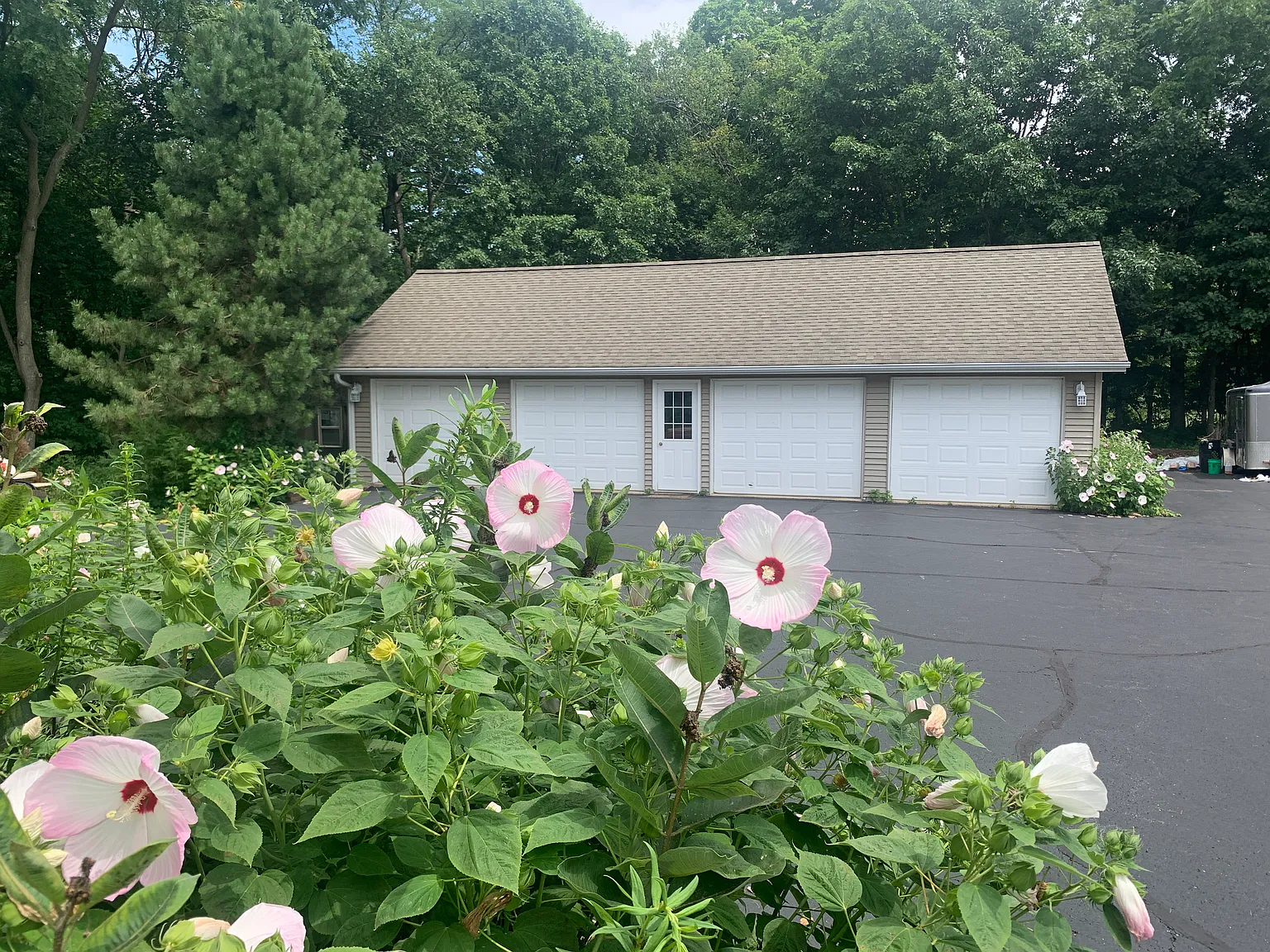 2 bed, 1100 sqft, $1,325 — Photo 4