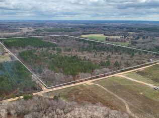 86/ACRE S New Hinson Rd, Slocomb, AL 36375