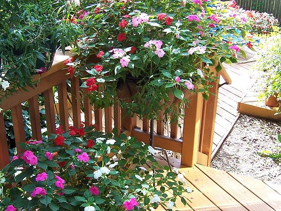 Cedar Deck off Dinning Room