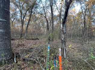 1 An County Rd #354, Palestine, TX 75801