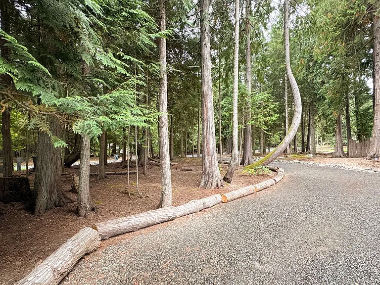 392 Buck Loop Rd — Photo 29