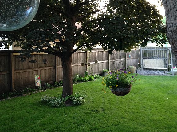 Backyard off deck