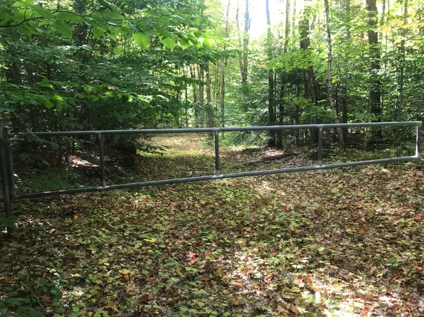 0 Chesbrough Rd, Newberry, MI 49868
