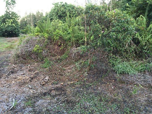 1st image of 31st Ave Lot 335