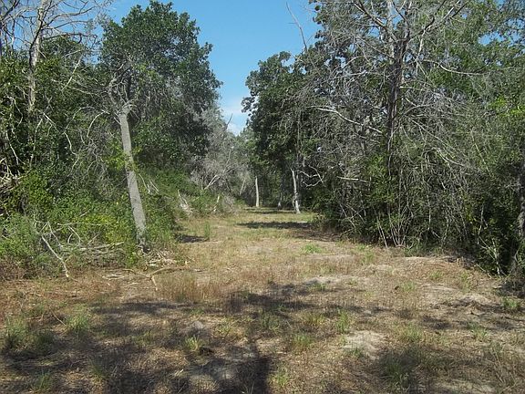 3rd image of Hwy 290