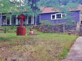 401 Soda Creek Rd, Idaho Springs, CO 80452