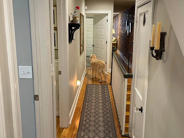 421 Pine St #1E — Photo 18