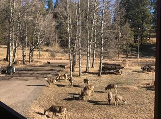 248 Bluebird Dr, Bailey, CO 80421