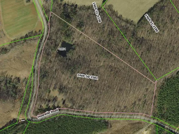 28.4 Museville Rd, Chatham, VA 24531