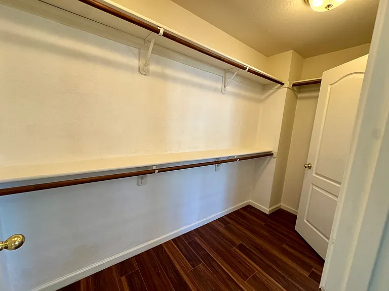 Primary Closet