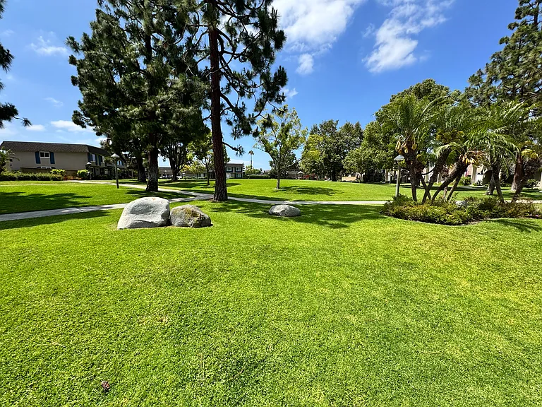 10041 Delano Ln — Photo 10