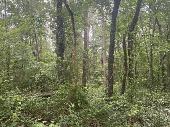 2140 Dry Pond Rd Tract 3, Monroe, GA 30656