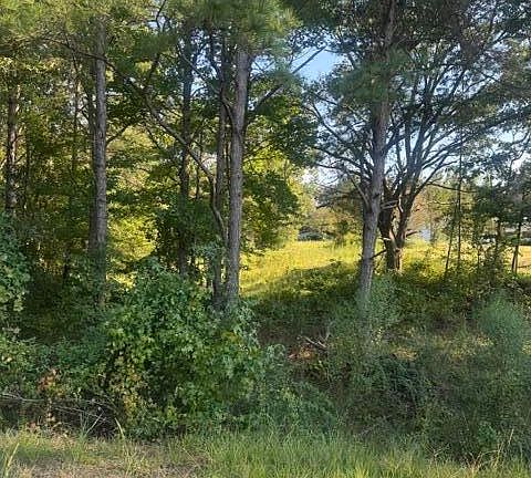 3rd image of 6126A Clarkson Rd