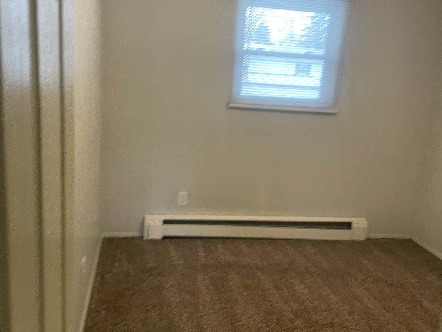 2 bed, $900 — Photo 3