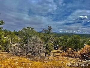 1st image of 29870 County Road 16