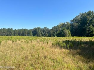 County Road 24, Heidelberg, MS 39439