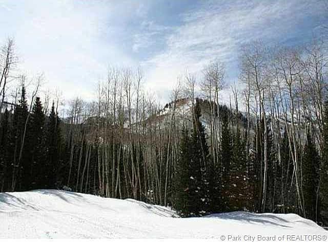 1st image of White Pine Ct
