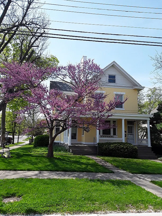 1 bed, 1000 sqft, $1,600 — Photo 1
