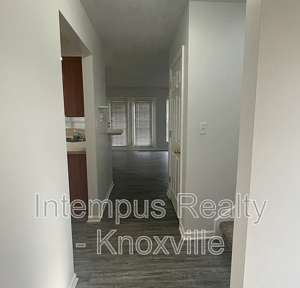 3119 Pinex Ln — Photo 16