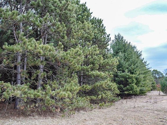 5th image of 4th Avenue