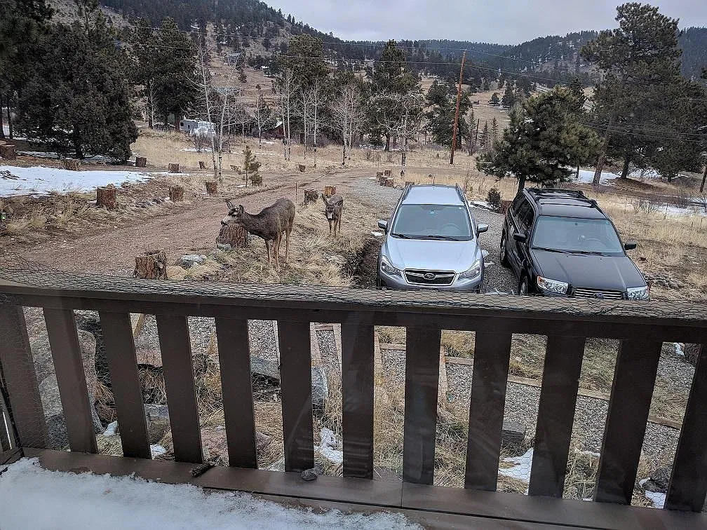 2 bed, 750 sqft, $1,400 — Photo 3