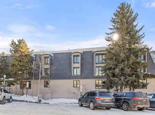 725 E Durant Ave #24, Aspen, CO 81611