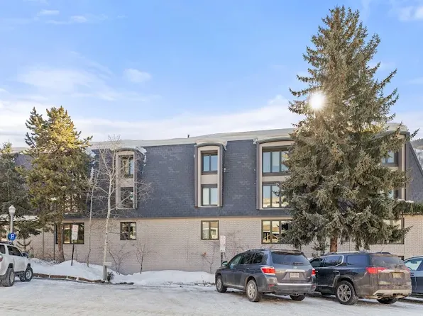 725 E Durant Ave #24, Aspen, CO 81611