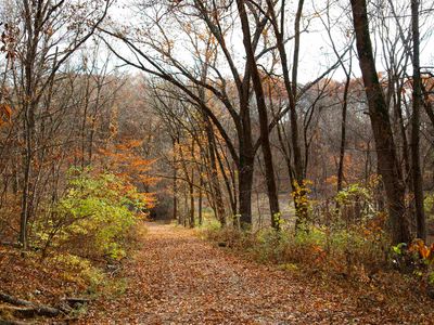 0 W Smithville Rd, Trivoli, IL, 61569