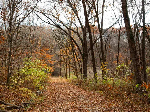 0 W Smithville Rd, Trivoli, IL 61569