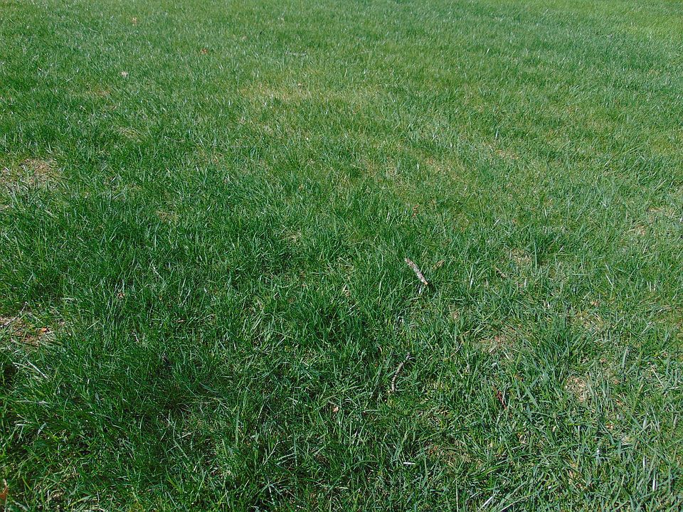 1st image of 7150 Bannockburn Cir Lot 90