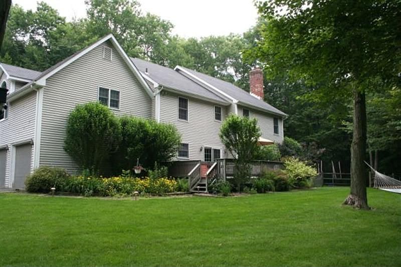 Back View