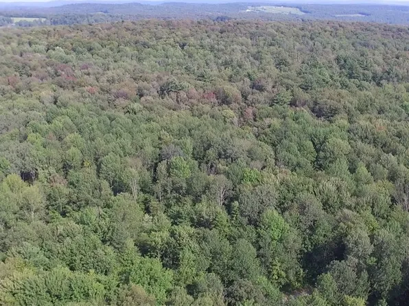 300 Welch Rd #19, Norwich, NY 13815