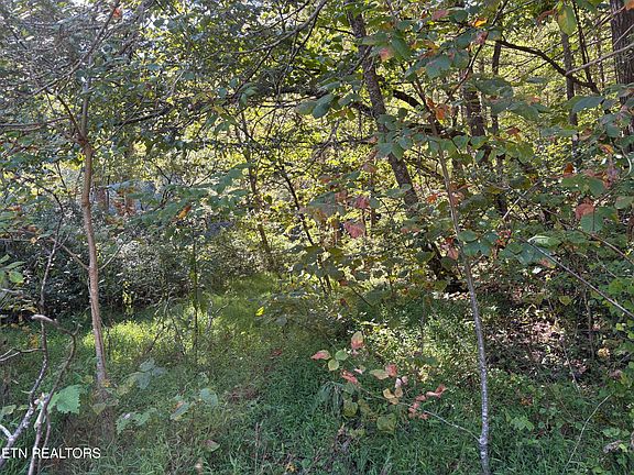 4th image of N Clearfork Road 2 Lot 1 #Sec