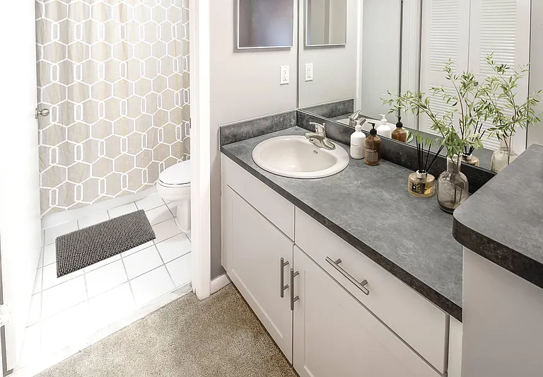 Palm Trace Landings Apartments — Photo 69