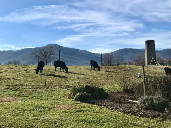 33 Hutchins Rd, Black Mountain, NC 28711