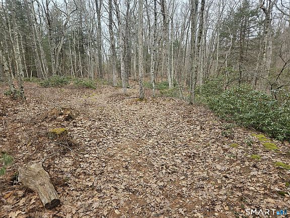 3rd image of Windy Ridge Road