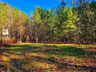 0 Riverton Rd, Mardela Springs, MD, 21837