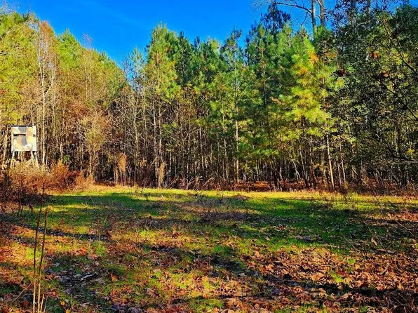 0 Riverton Rd, Mardela Springs, MD 21837