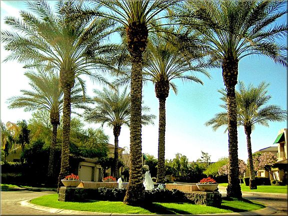 2nd image of 7321 E Del Acero Dr