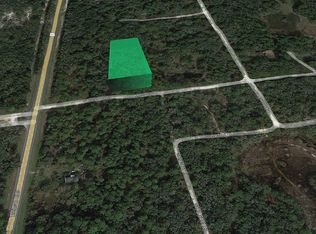 0 Beechnut Dr LOT 8, Webster, FL 33597