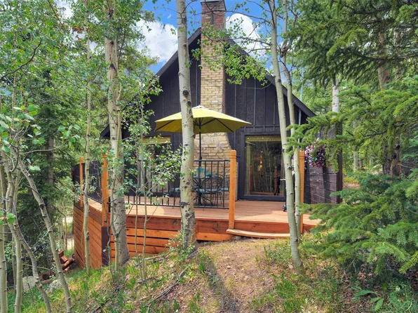 227 Roberts Road, Alma, CO 80420