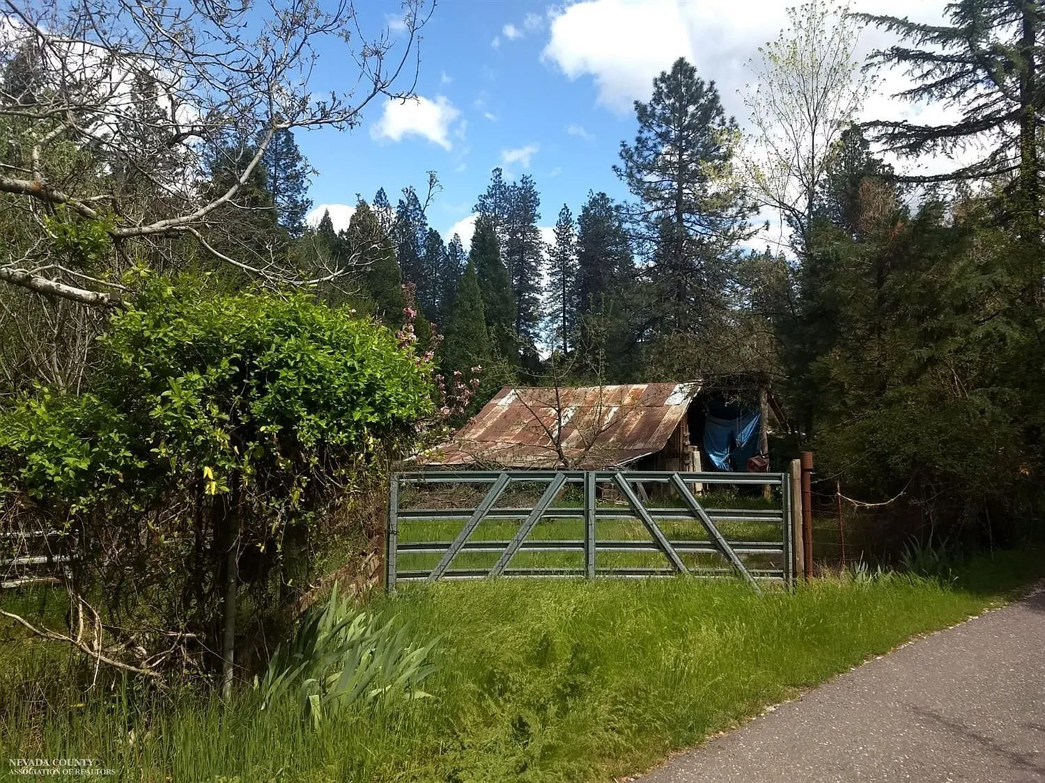 11629 Bourbon Hill Rd photo 1