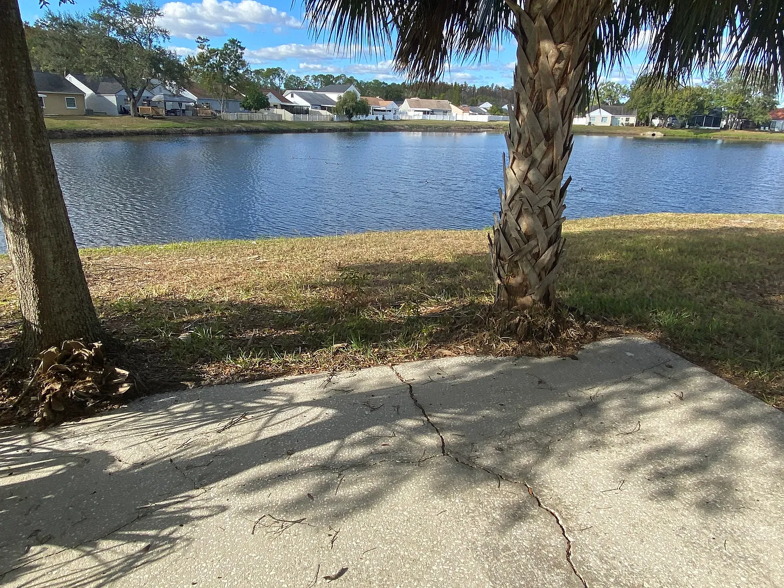 5107 Rosegreen Ct — Photo 3